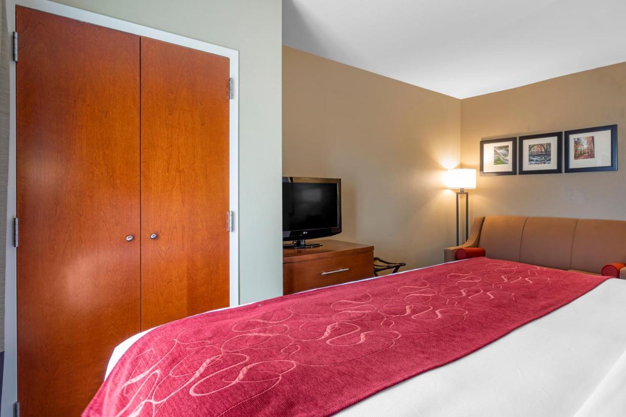 נוקסוויל Comfort Suites North מראה חיצוני תמונה