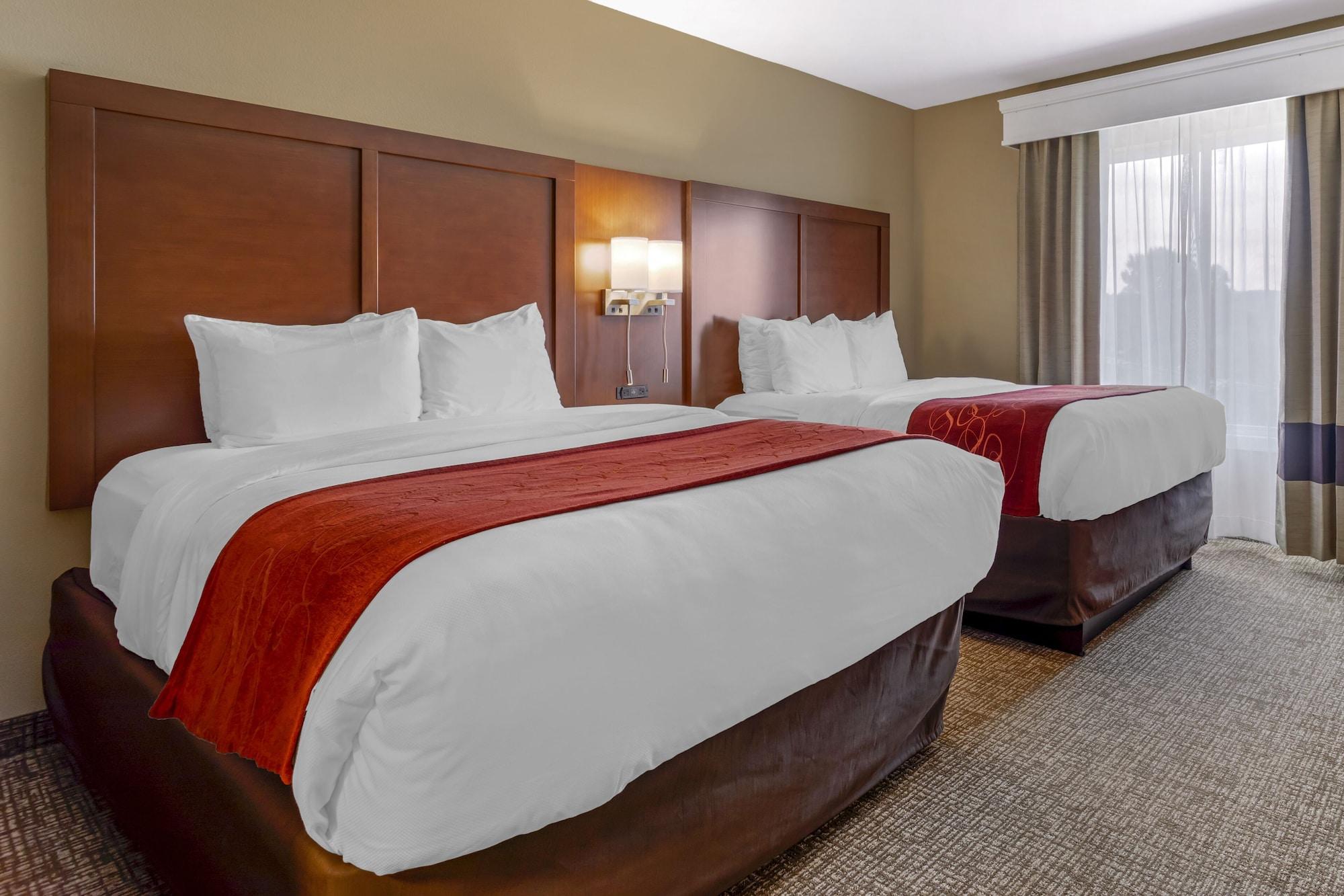 נוקסוויל Comfort Suites North מראה חיצוני תמונה